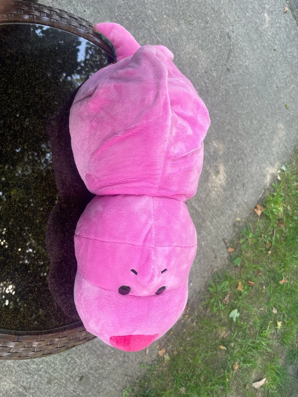 Rainbow Plush Toy for Small Pets - Multicolor